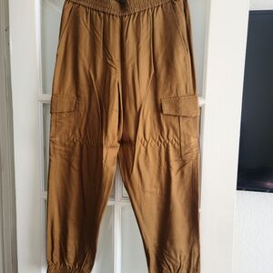 BCBGMaxAzria Brown Pants